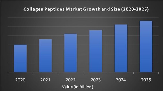 Collagen Peptides Market